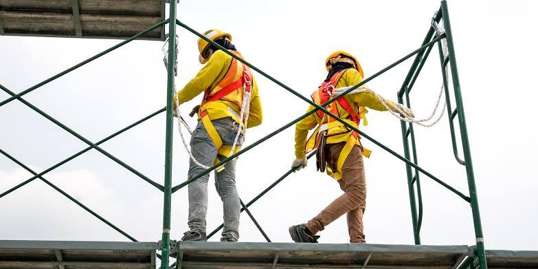 Scaffolder